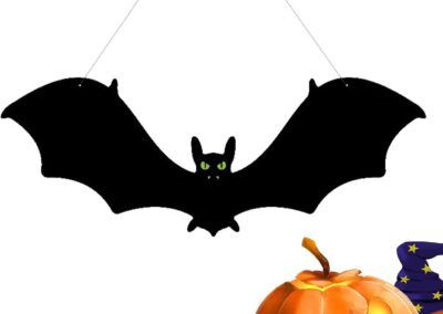 Le programme de l&rsquo;ALSH-11 17 ans des vacances d&rsquo;Automne est disponible !